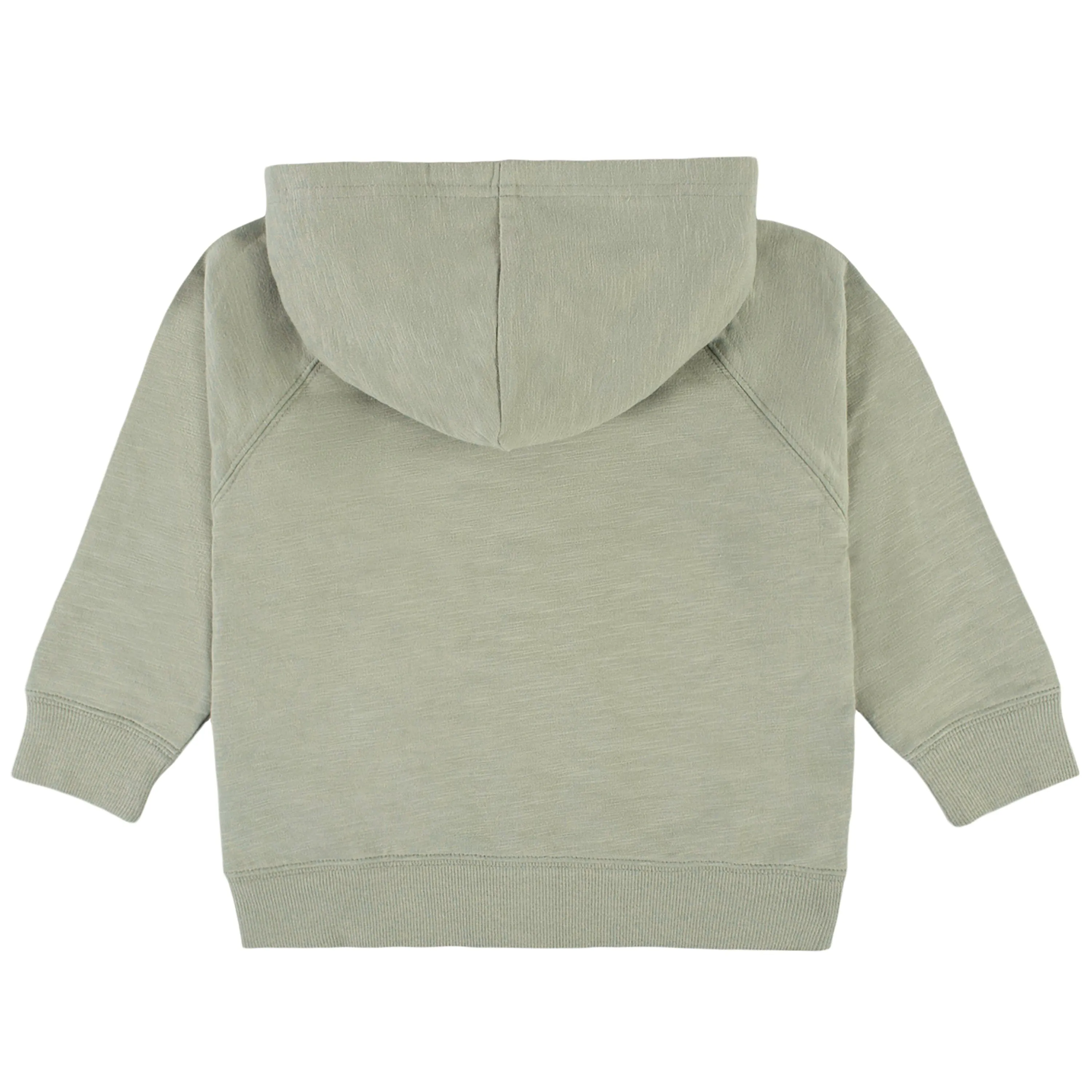 Infant & Toddler Boys Green Hoodie