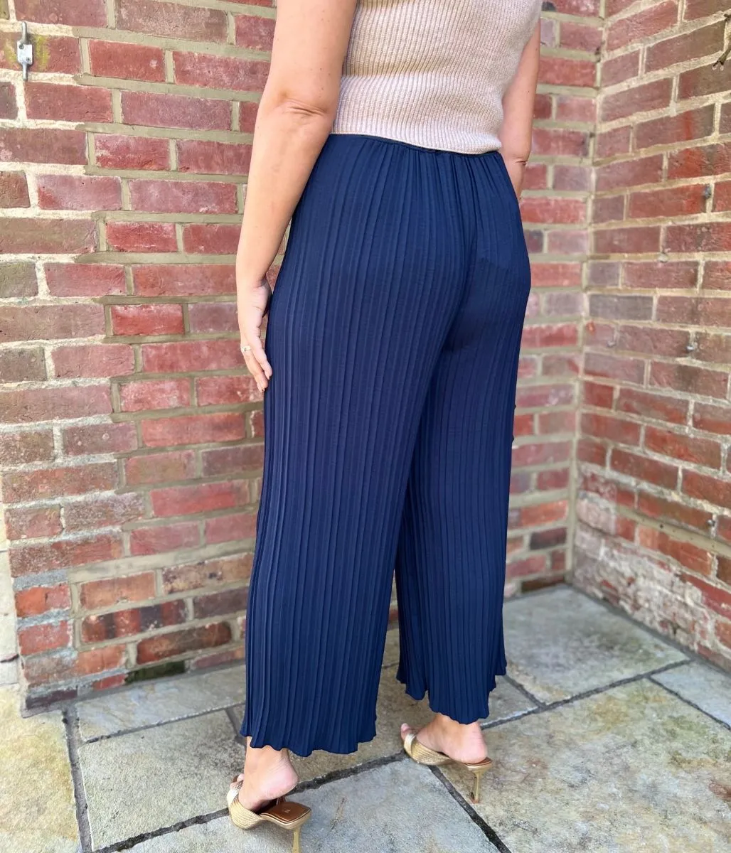 Navy Pleated Trousers