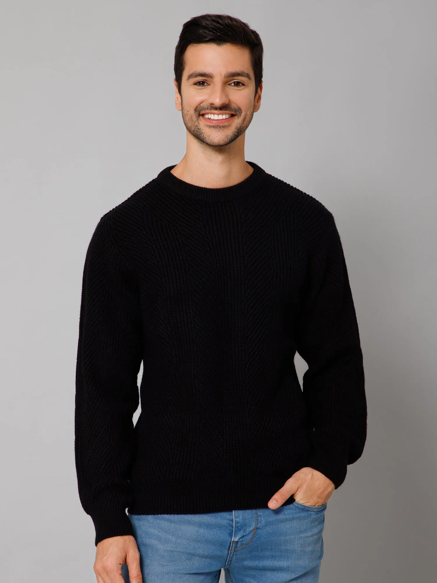 Self Design Black Full Sleeves Round Neck Regular Fit Casual Sweater for Men